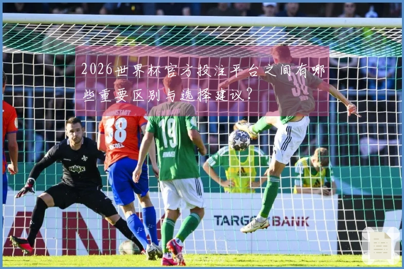 2026世界杯官方投注平台之间有哪些重要区别与选择建议?