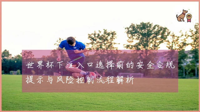 世界杯下注入口选择前的安全合规提示与风险控制流程解析