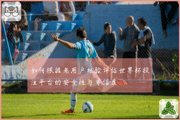 如何根据老用户经验评估世界杯投注平台的安全性与可信度