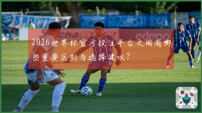 2026世界杯官方投注平台之间有哪些重要区别与选择建议？