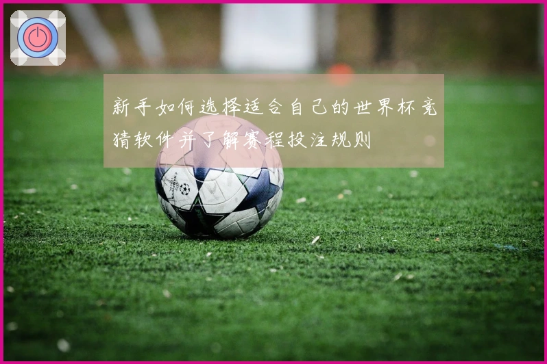 新手如何选择适合自己的世界杯竞猜软件并了解赛程投注规则